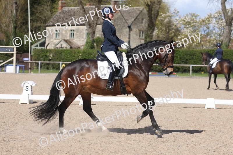 20260405-0595 - Class 7 - Medium 5