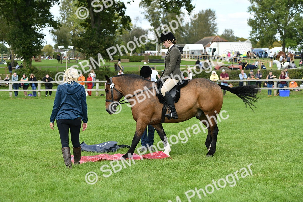 SBM_46857 - S12 - Family Horse & Pony