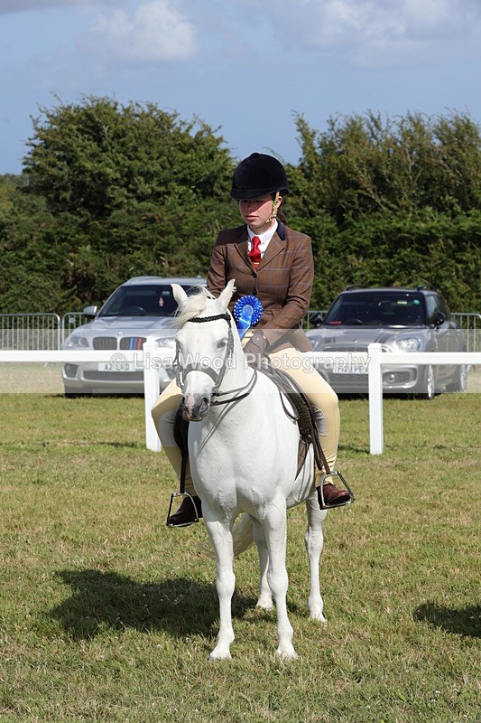 1X9A5821 - Class 40: NPS Welsh A & B