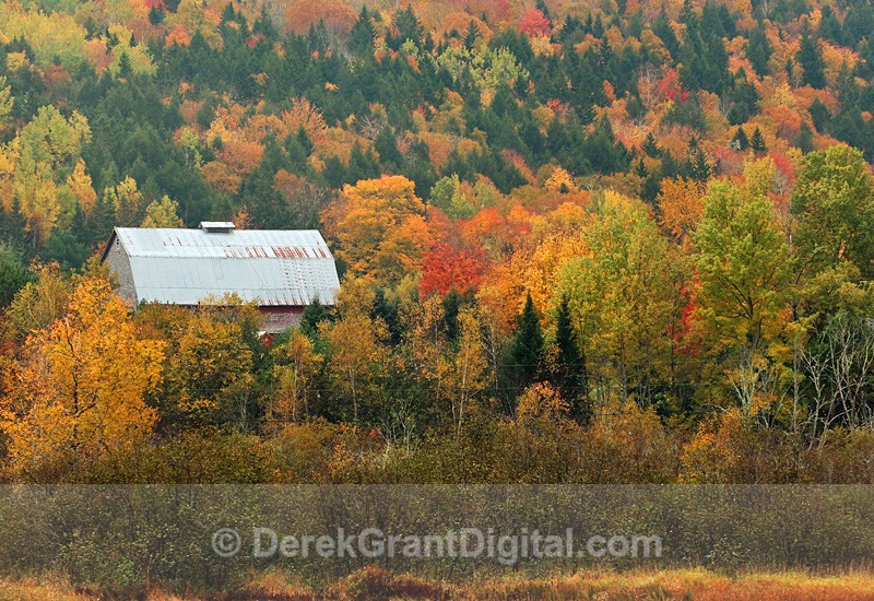 Kings County New Brunswick Canada Autumn Foliage - New Brunswick Landscape