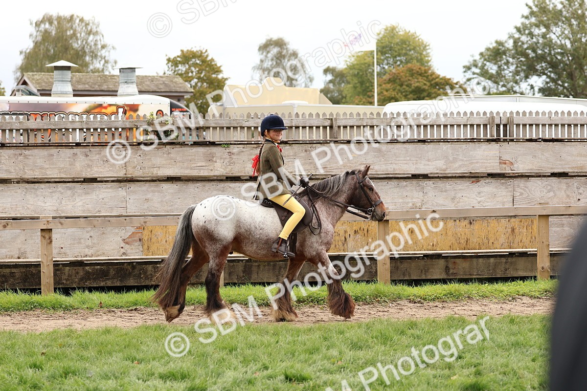 SBM_64384 - S58 - Coloured Pony Ridden