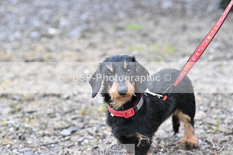 241206-144222-01124 - Naomi