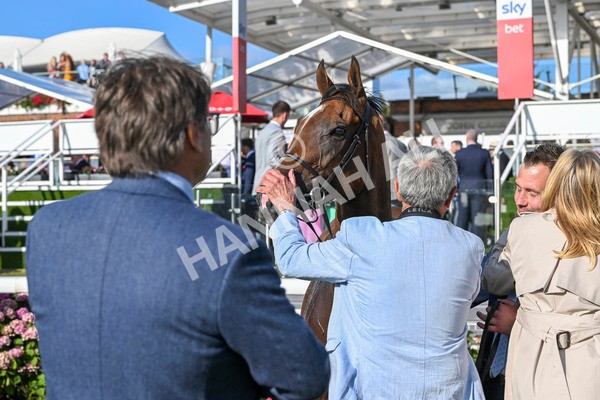 240824-Race 7-Sir Busker-2109 - Race 7 5.20pm Sky Bet Finale Handicap
