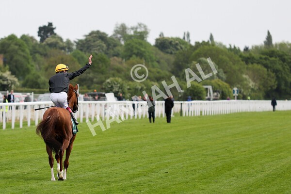 yr13052022r4-64 - Race 4 3.35pm The Paddy Power Yorkshire Cup (British Champions Series Race)