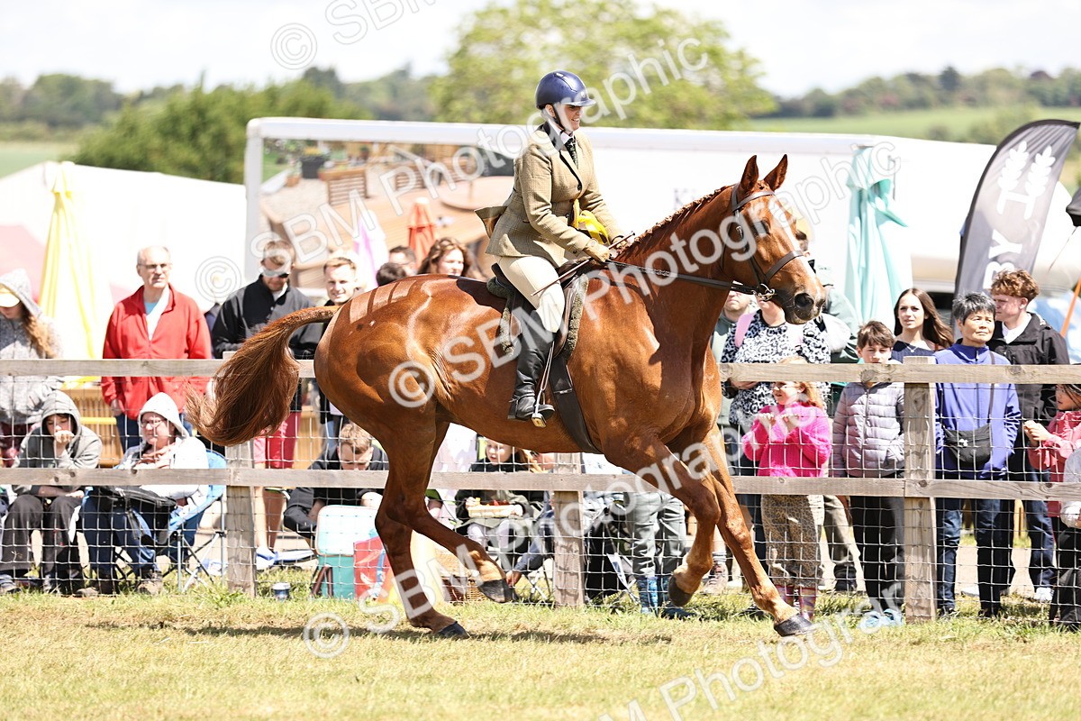 SBM_14766 - Class 88-89 - LIHS BSHA Rising Star of Ridden Hunter Type