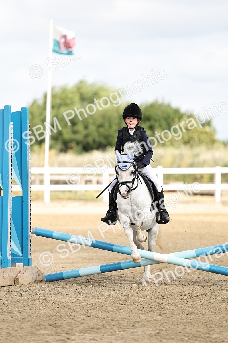 SBM_003266 - 40cm showjumping