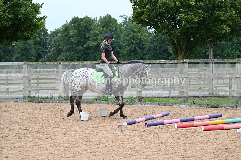 WJ7_9773 - Poles 14:00