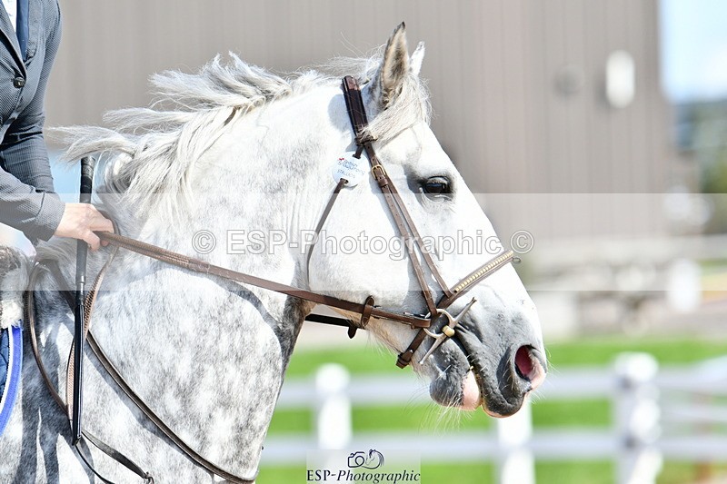 240913A-120015-03993 - Cls 22 85cm Amateur Qualifier