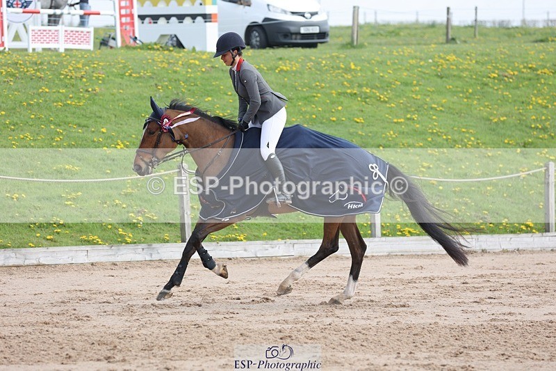 250424-111233-03407 - Cls 33 Young Horse 7yr old