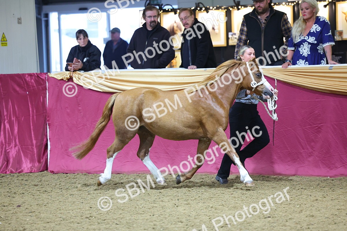 SBM_18941 - Class F Grass Roots Champ