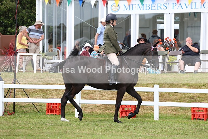 3E7A0817 - Class 8: Open Riding Horse/Hack