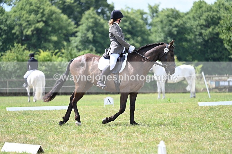 WJ7_4849 - Time 11:22 to 11:51