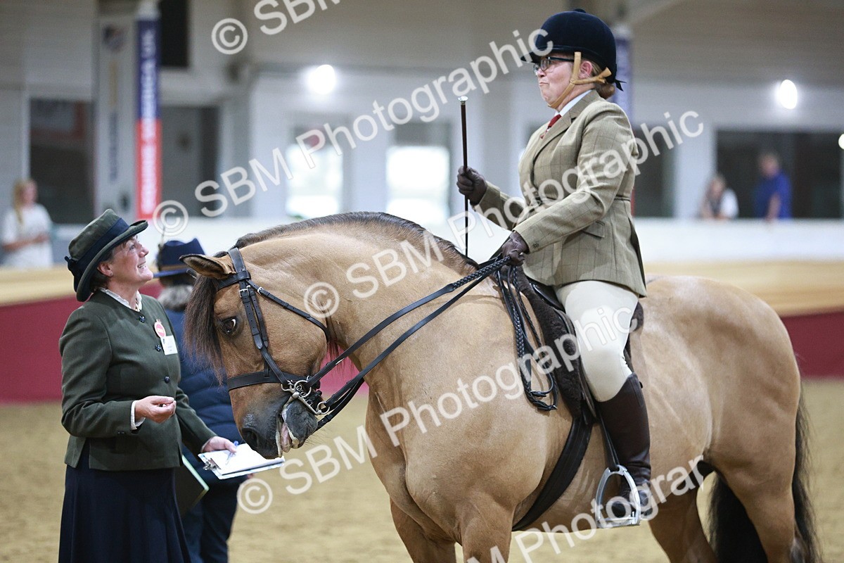 SBM_08103 - Class 11R - Regional Ridden Veteran