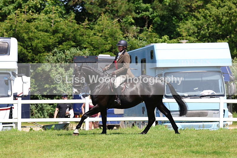 3E7A7435 - Class 30: Novice Working Hunter