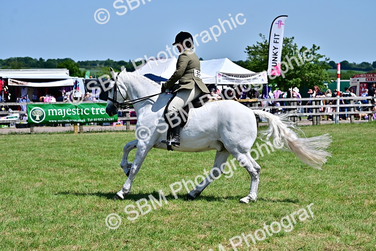SBM_17496 - Class 95-97 - BSPS LHS Performance Ponies