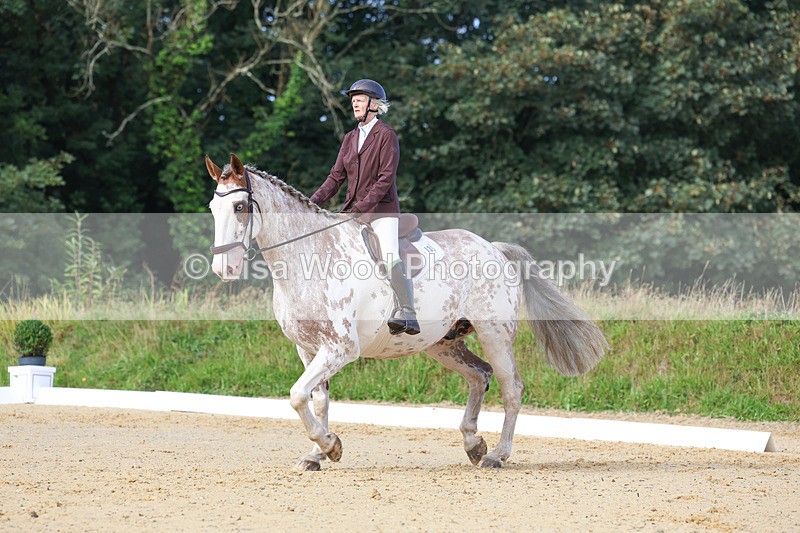 3E7A2358 - Class 1: Intro 4 2024 section A