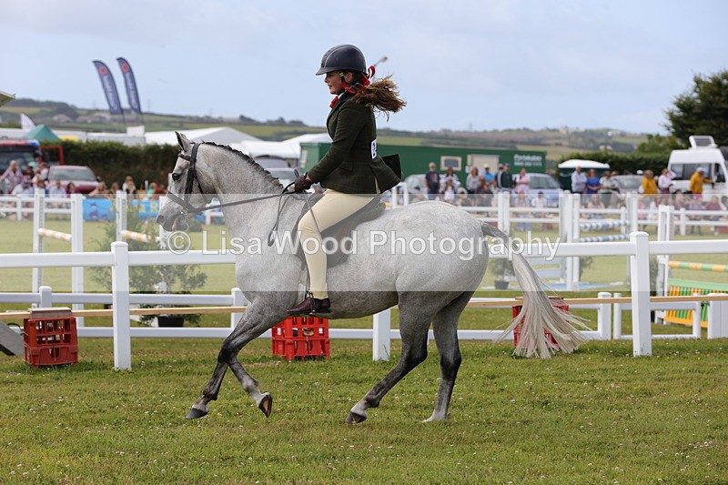 1X9A4032 - Class 32: Show Hunter Pony 153cm and under