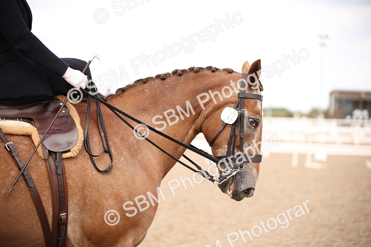 SBM_06667 - Class 23 SSA Classical