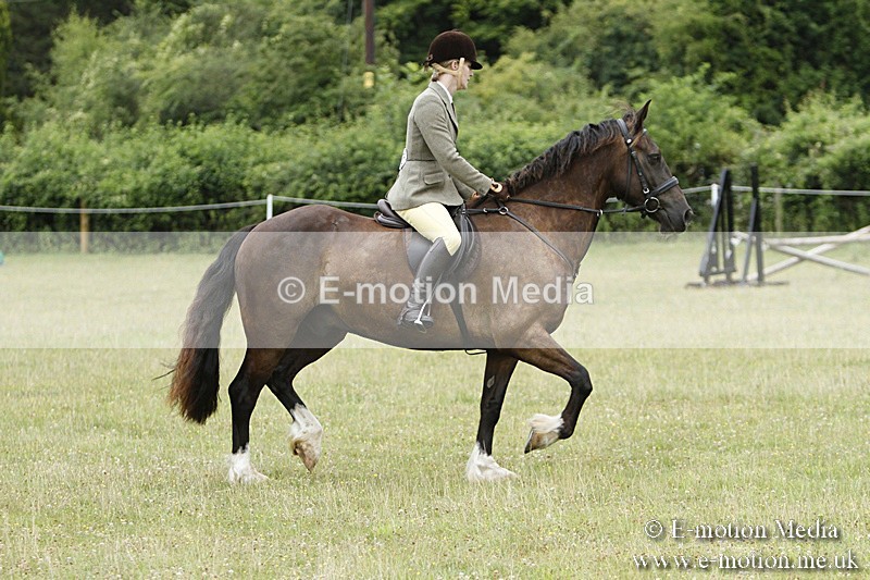 BVR160717-85 - Ring 3 BVRC Show 16/07/17