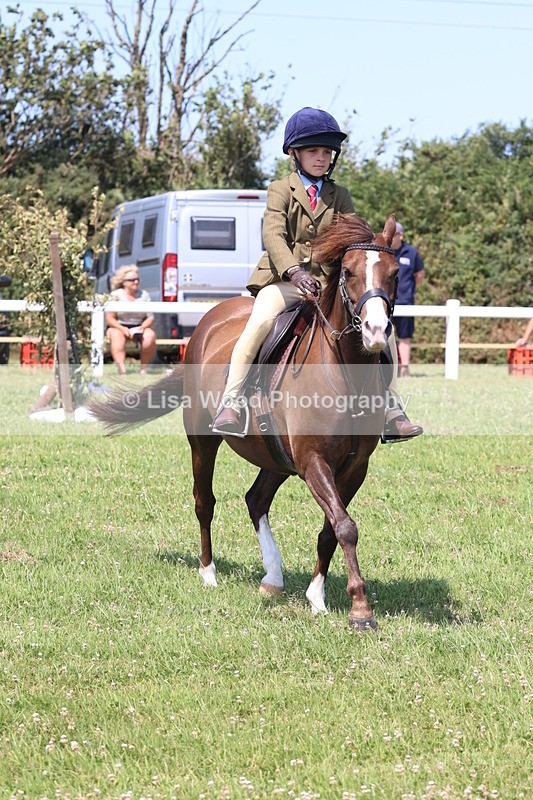 JPP_2342 - Class 20: Tiny Tots Working Hunter Pony