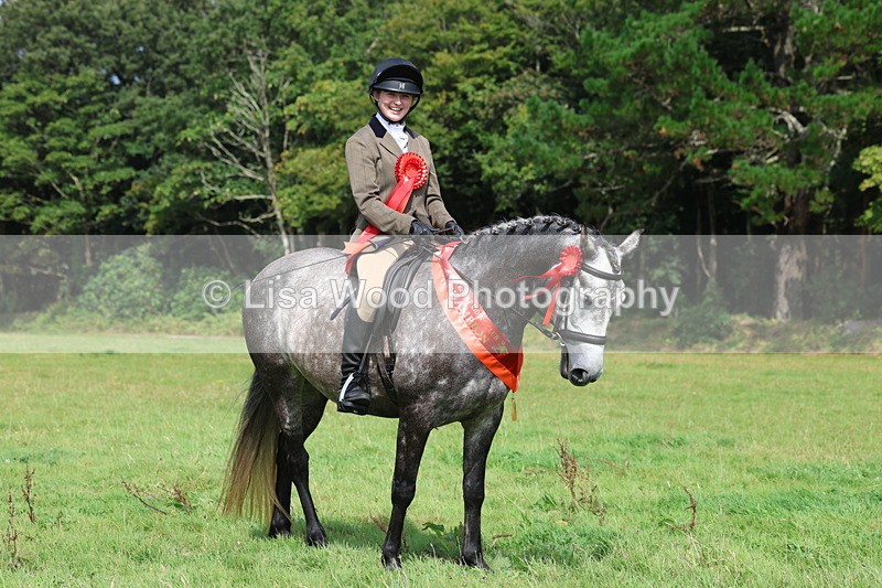 3E7A6158 - Working Hunter Championship