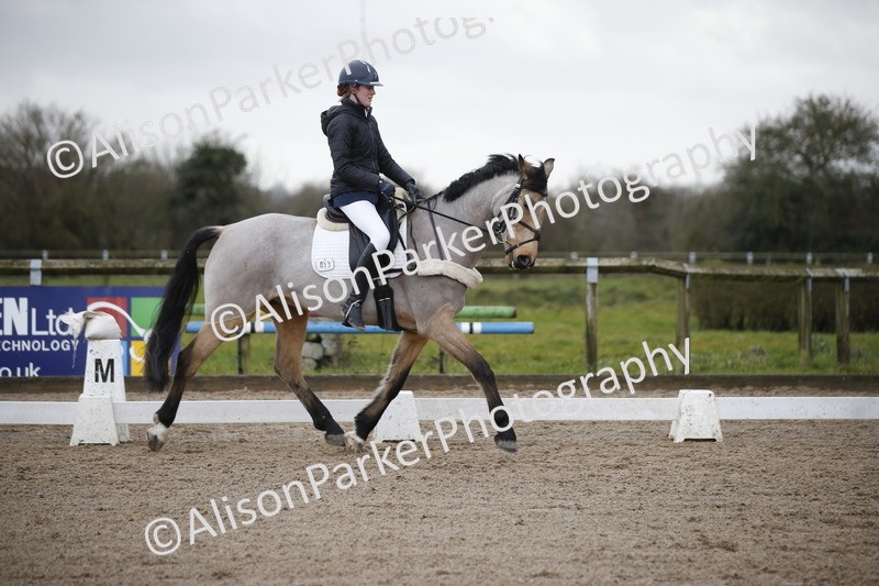 20260127-0397 - Class 17 - BD Novice 3