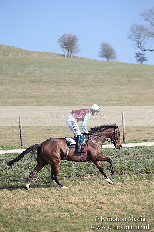 PtP 230219 265 - Vine & Craven Point-To-Point - Barbury 23/02/19