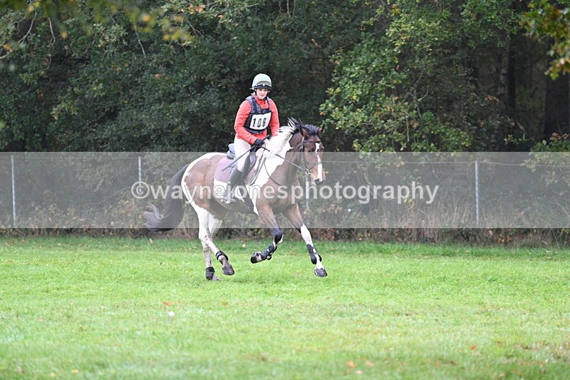 WJ7_3173 - Time 10:47 to 11:11 at the water