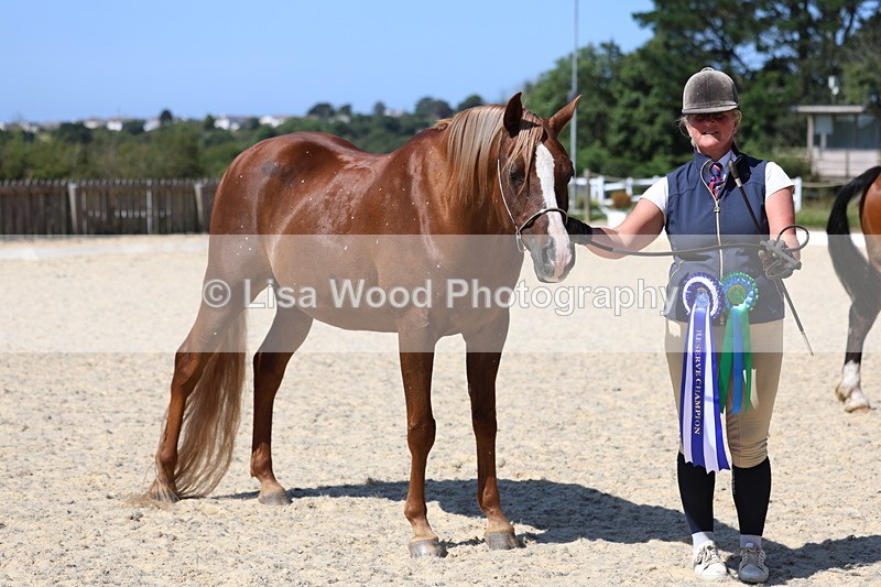 3E7A9967 - In Hand Championship