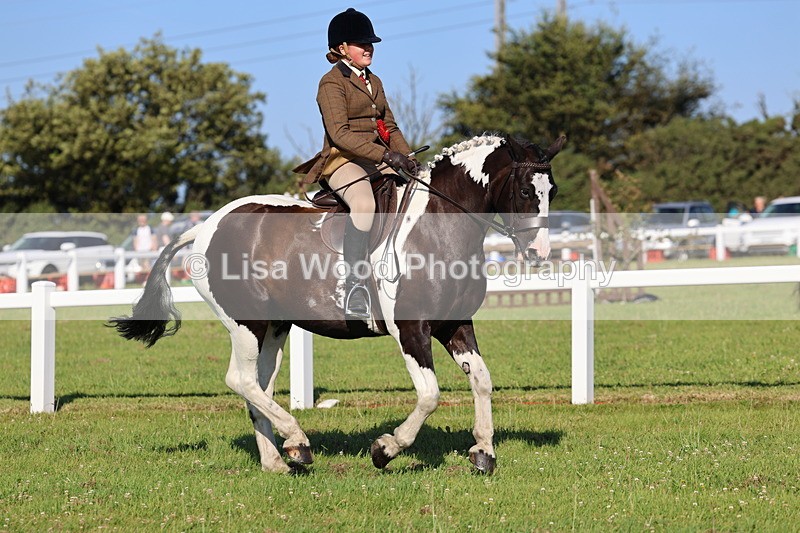 IMG_1412 - Class 28: Ridden Plaited Coloured Pony