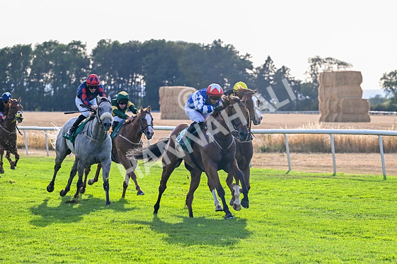 140826-Race 3-Equity Law-1136 - Race 3 18.43pm Heineken 0% Handicap