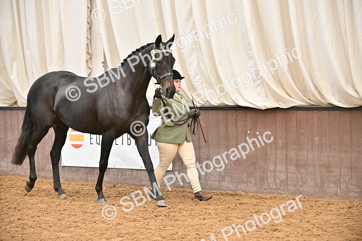 SBM_000197 - Class 7 - ROR Tattersalls In Hand