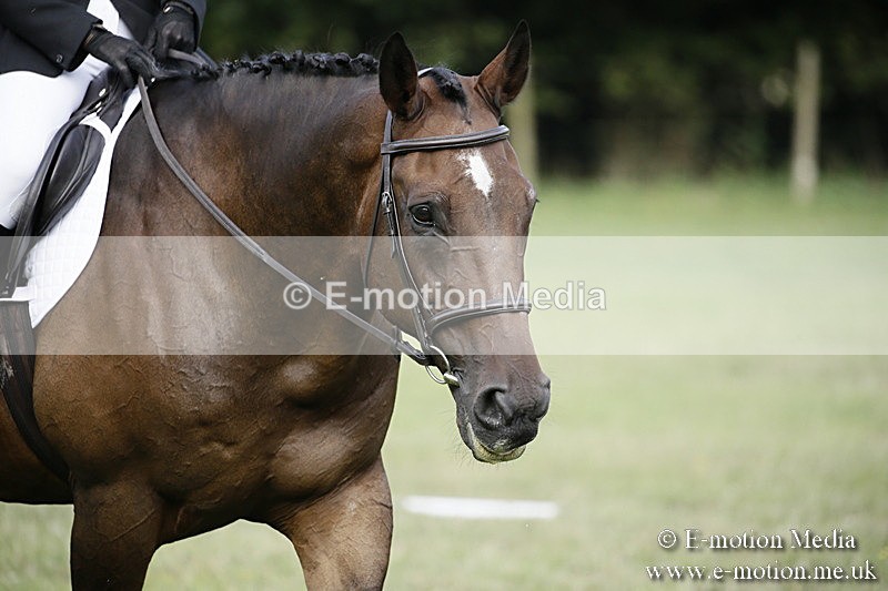 BVR090918 166 - BVRC Dressage and Show Jumping 09/09/18