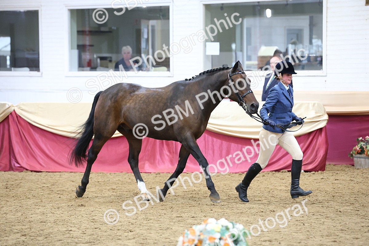 SBM_23628 - Class 904 - Supreme Final - Ridden Diamond