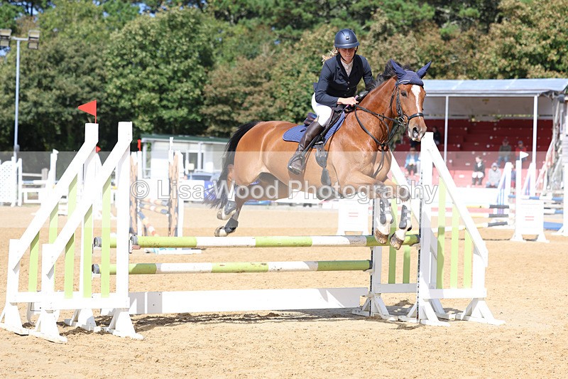 3E7A9498 - Class 9: Senior British Novice/90cm open