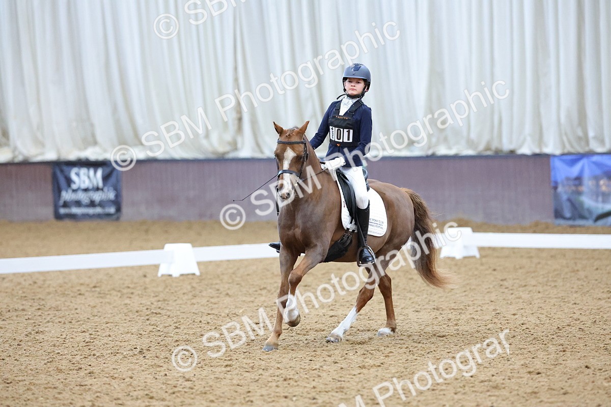 SBM_003674 - Novice