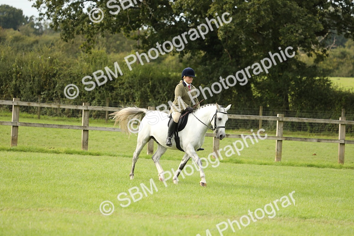 SBM_71532 - S41 - Ridden Equitation (Best Rider)