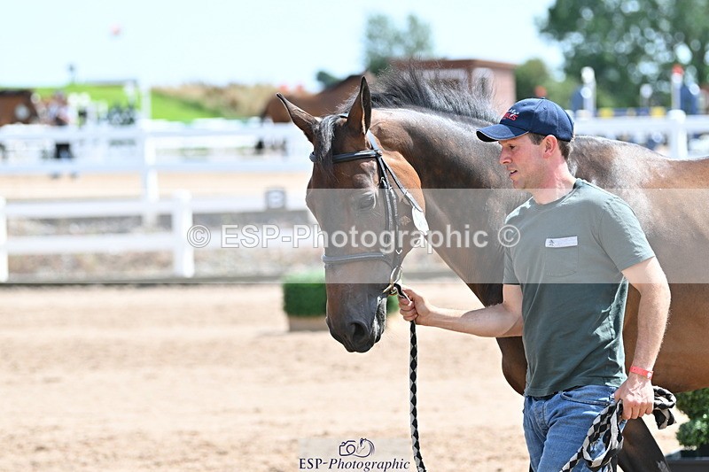 240717A-150151-02463 - Trot Up 3pm to 4pm