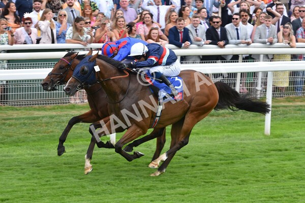 yr23072022r3-36 - Race 3 3.15pm Sky Bet York Stakes