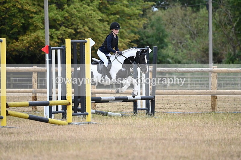 WJ6_0306 - Class 13 Novice Jumping 60cm