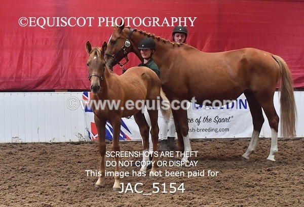 JAC_5154 - 9 Zinzipan