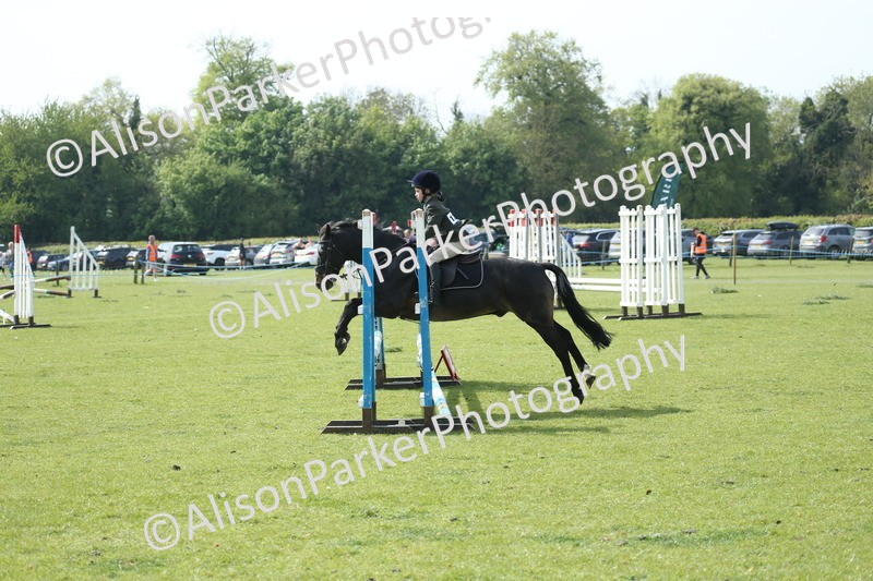 20260426-1475 - Class 14 - Novice 60cm