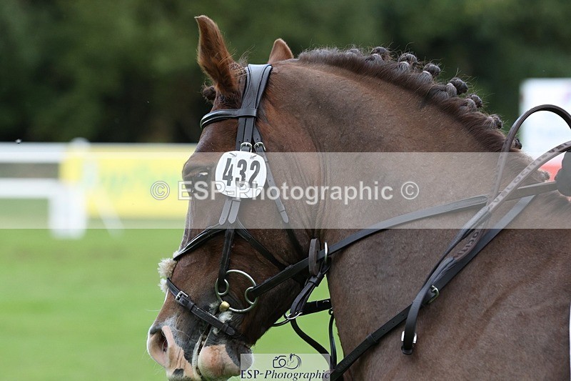 231022-132310-27678 - 432-DALEY-Oona.Gowan-TrotUp+SJ