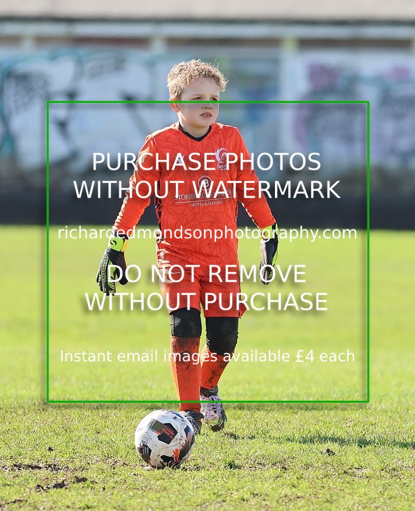 533A7801 - Ibis Under 8's (14/3/26)