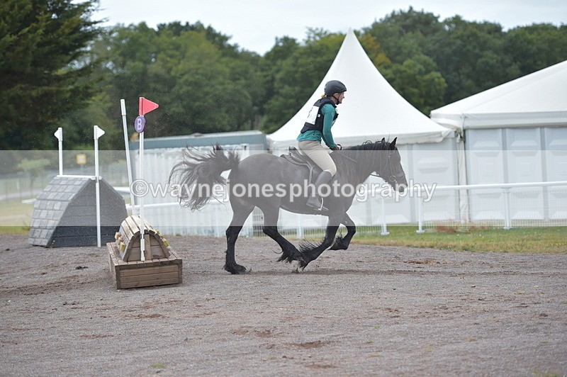 NGP_2833 - XC Time 11:37 to 11:57