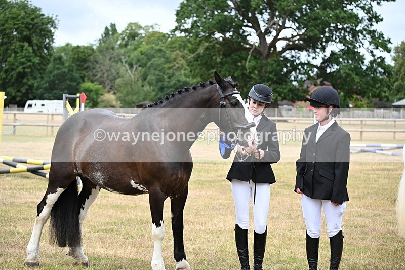 WJ6_4458 - Class 10 Coloured In-hand
