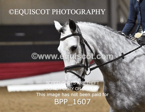BPP_1607 - PC GRASSROOTS DRESSAGE