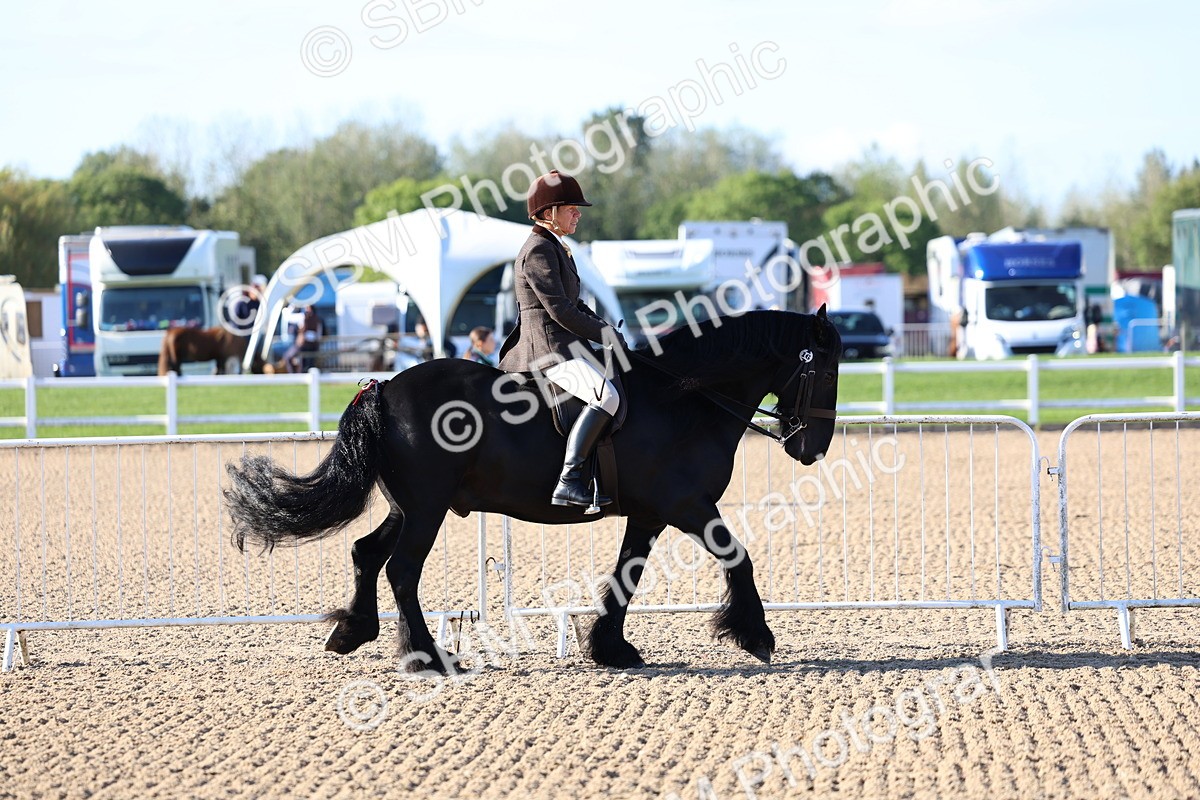 SBM_08714 - Class 302 - Ridden M&M - Large Breeds