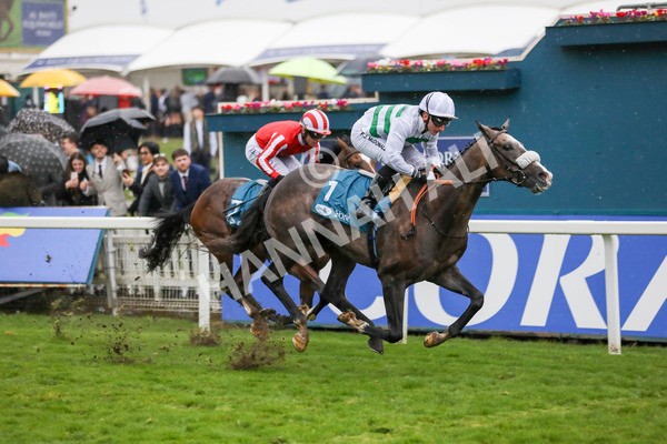 121024-Race 5-Almeric-7326 - Race 5 3.55pm Coral Racing Club EBF Maiden Stakes
