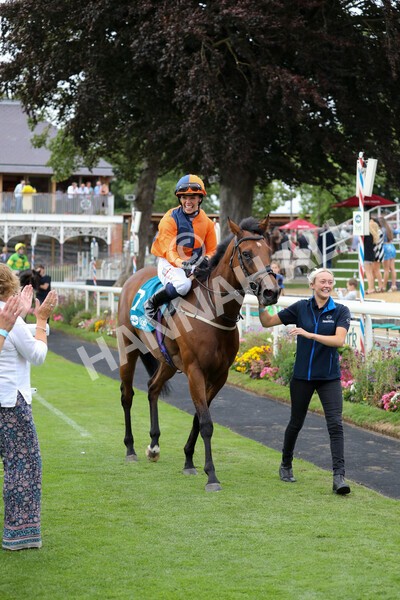 yr23072022r7-49 - Race 7 5.35pm Sky Bet Paying Extra Places Stakes